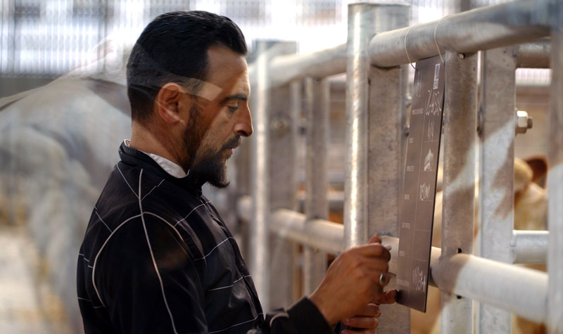 Extrait du documentaire Dockville de Sara Millot