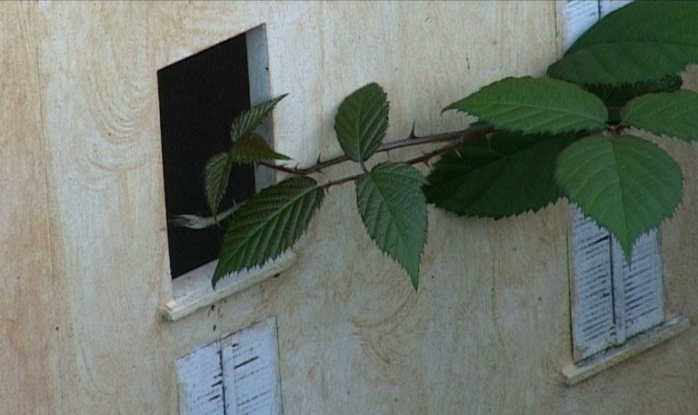 Maquette, extrait du film de Sara Millot intitulé I'll be your mirror