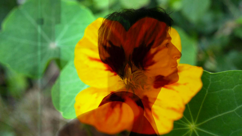 Projection sur une façade, photo de l'installation de Sara Millot intitulée Fata Morgana