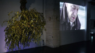 Gui et écran vidéo, photo de l'installation de Sara Millot intitulée Graceland